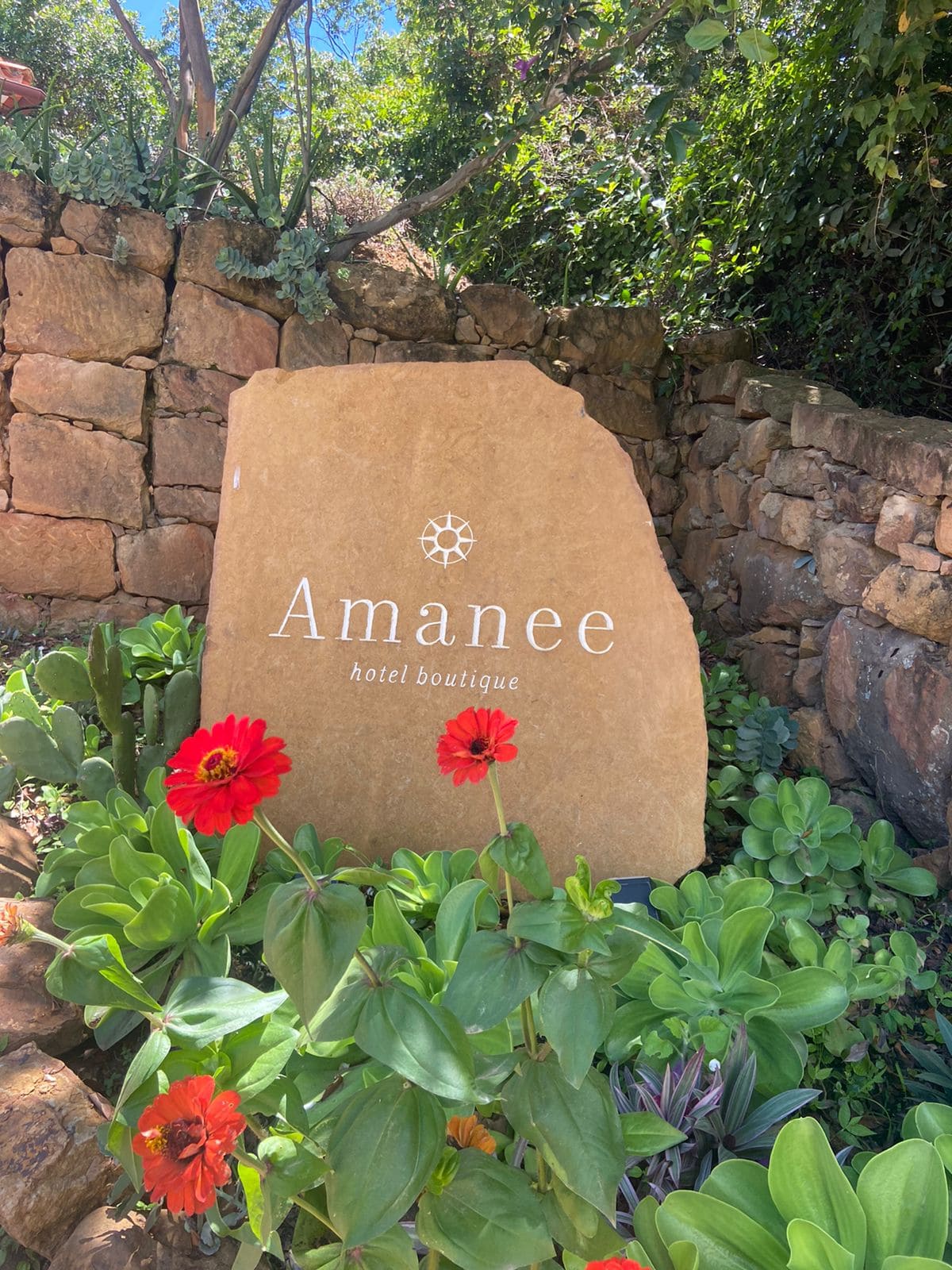 Amanee Concepto